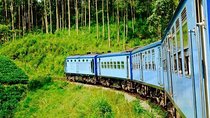 4 Days Tour with Hiking and Scenic Train Ride