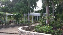 Explore Montego Bay Jamaica Rose Hall Great House Day/Night Tour 