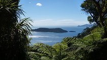 Motuara Island Bird Sanctuary and Ship Cove Cruise from Picton