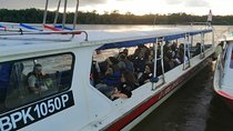 Twinkling Kuala Selangor Firefly Boat Tour from Kuala Lumpur
