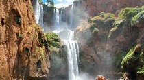 Private Ouzoud falls Tour with Local Guide -Trip from Marrakesh