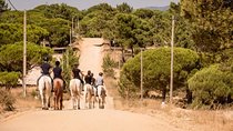 Private Alentejo Tour with Lunch and Horseback Ride along Melides Beach