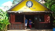 Bob Marley's Birth Place( NINE MILE )Tour