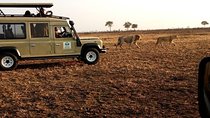 7Days 6 nights Private Budget Safari to Southern Circuit