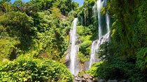 Bali Waterfalls Tour - One Day Private Tour