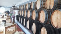 Wine Tour Discover the history and flavors of the best winery's of Lisbon Region