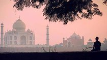 Taj Mahal Private Day Trip With Agra Fort & Itmad-ud-Daulah From Delhi