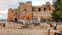 Jerash and Ajloun Castle Day Tour from Amman