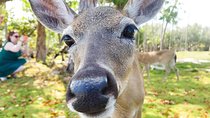 Florida Keys Nature & History Tour from Key West