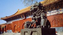 Private Day Tour: Summer Palace, Lama Temple and Hutong Experience
