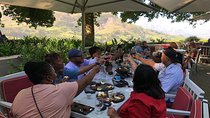 Cape Winelands Day Tour