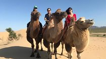 4 Days-The Best of Mongolia Collection tour