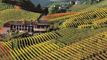 Private tour from Turin: Full day Langhe Region with its Colors and Flavors