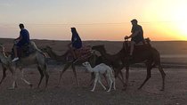 Quad Biking & Sunset Camel Ride Tour With Dinner At Marrakech Agafay Desert