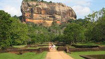 Sigiriya Rock Fortress and Dambulla Cave Day Tour From Negombo