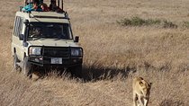 3 Days Serengeti and Ngorongoro Crater Safari