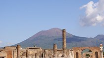 Pompeii Archaeological Area Private Tour from Naples