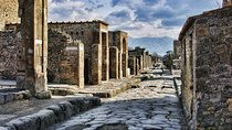 Pompeii and Herculaneum Private Day Tour from Rome with Lunch