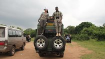Akagera wildlife Safaris and Boat Trip in Lake Ihema(4Pax Min)