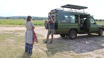 1 Day Akagera Wildlife Safari ( 2 Pax Min)