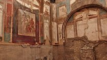 Herculaneum Archeological Area Private Tour from Naples