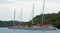 Private Catamaran Sailing Tour