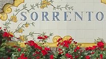 Transfer Naples Sorrento plus Pompeii or vice versa 