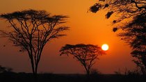 3 days Meru National Park Safari