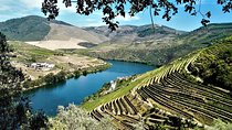 Premium Private Douro Tour: 3 Wineries with Tastings & Lunch