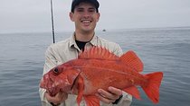 Private Half-Day San Diego Fishing Trip for up to 4 People