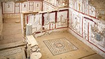 Private Tour to Ephesus, Selcuk Museum, House of Virgin Mary, Temple of Artemis