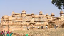 Golden Triangle Tour With Ranthambore