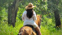 Discover a nature reserve on horseback 