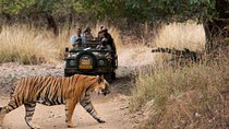 4 Days Golden Triangle Tour with Ranthambore from Delhi