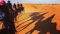 5-Day Morocco Tour with Merzouga Desert Tour from Marrakech