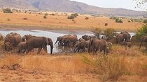  Day-safari to Pilanesberg national park from Joburg or Pretoria