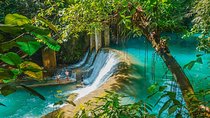 Kawasan Canyoneering, Kawasan Falls and Whaleshark Encounter
