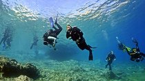 Discover Scuba Diving Private Fun Activity in Athens