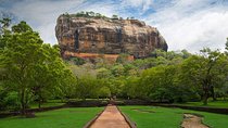Sigiriya Rock and Dambulla Cave Temples from Colombo (All inclusive day tour)