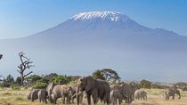 2-Day Kenya Safari - Amboseli National Park Adventure