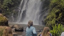 Marangu Waterfalls, Coffee & Chagga Caves Tour