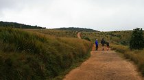 Hortan Plains Tour From Kandy