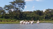 Lake Naivasha, Nakuru Day Excursion 