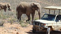 Private Transfer to Safari Big 5 at Aquila from Cape Town Excluding Entry Fees 