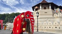 Private Day Tour Of Kandy From Galle and Bentota