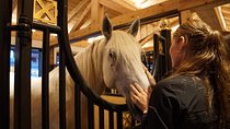 Lipica Stud Farm & Skocjan Caves - Shore Excursion from Trieste