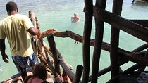  Floyds Pelican Bar Private Tour 