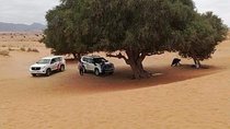  Day tours to Mini Sahara Desert + Massa Tiznit