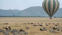 3 days in middle of Serengeti & ngorongoro crater