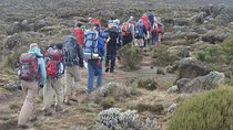 Kilimanjaro National Park Day Trip